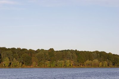 Horn Pond