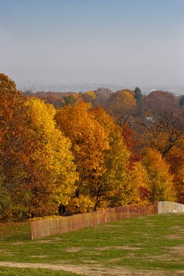 Осень