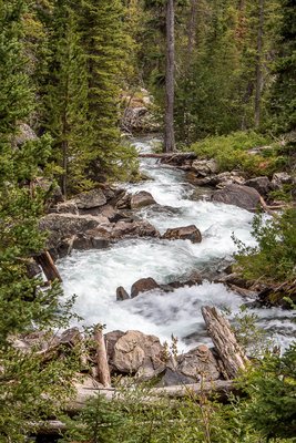 Grand Tetons National Park