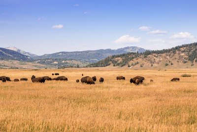 Grand Tetons National Park