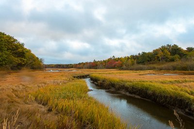 Maine