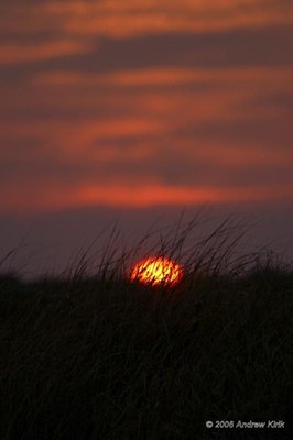 Beach in Hyannis