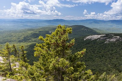 White Mountains